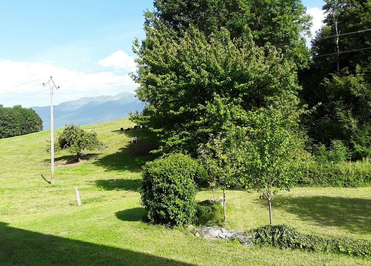montailleur-5